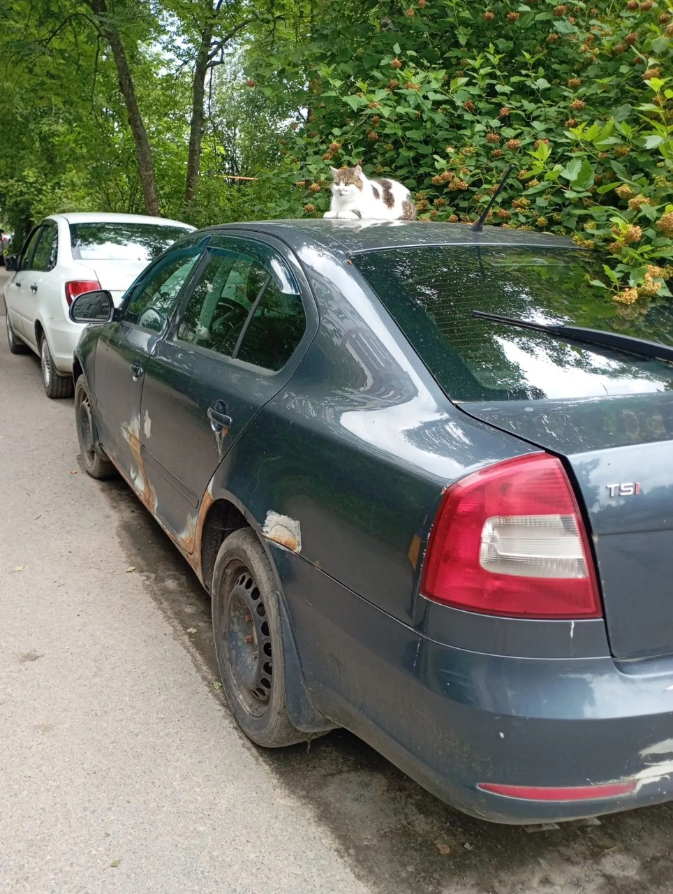 Автомобиль марки SKODA модель Octavia 2012 г.в. VIN-номер XW8BK21Z8DK230217