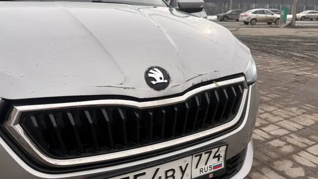 Легковой автомобиль марки: SKODA, модели: Rapid, год выпуска: 2021, идентификационный номер (VIN): XW8AC2NHXMK122594. Находится в залоге у ПАО «Совкомбанк» (ИНН 4401116480).