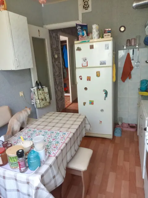 Помещение, общая площадь 63.8 кв.м., расположенное по адресу: 446304, Самарская обл, г Отрадный, ул Спортивная, д. 58, кв. 5, кадастровый номер 63:06:0305005:474