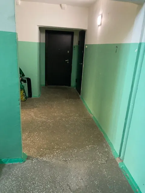 Доля в праве 1/3, квартира, расположенная по адресу: Красноярский край, ЗАТО Железногорск, город Железногорск, пр-кт Ленинградский, д. 105, кв. 25, кадастровый номер: 24:58:0312002:2337.