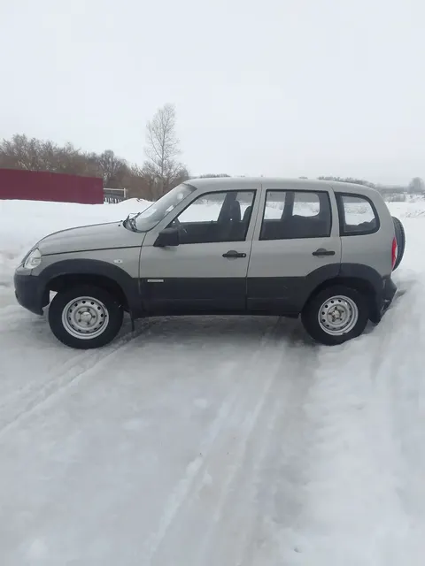 Легковой автомобиль марки: ШЕВРОЛЕ, модель: НИВА 212300-55, год выпуска: 2012г., идентификационный номер (VIN): X9L212300C0419036