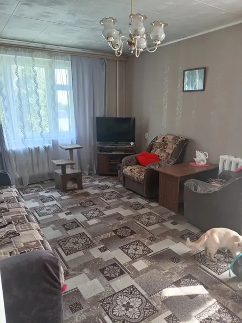 Помещение, общая площадь 63.8 кв.м., расположенное по адресу: 446304, Самарская обл, г Отрадный, ул Спортивная, д. 58, кв. 5, кадастровый номер 63:06:0305005:474