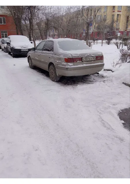 Легковой автомобиль, марка: ТОУОТА , модель: СОRОNА РRЕМIО, год изготовления: 1996 г.в., цвет: серый, г/н: С901КУ124, мощность двигателя, л. с. (кВт): 115 (84,5), рабочий объем двигателя, куб. см: 1762, кузов №: AT211-0040527, разрешенная максимальная масса: 1540, масса без нагрузки: 1230, вид собственности: совместная.