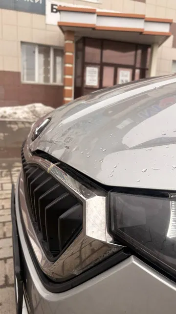Легковой автомобиль марки: SKODA, модели: Rapid, год выпуска: 2021, идентификационный номер (VIN): XW8AC2NHXMK122594. Находится в залоге у ПАО «Совкомбанк» (ИНН 4401116480).
