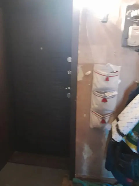 Квартира, общая площадь 45.1 кв.м., расположенная по адресу: 630028, Новосибирская обл., г. Новосибирск, ул. Нижегородская, дом 223, кв. 8, кадастровый номер 54:35:074295:129
