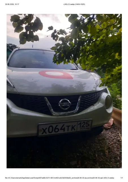 Легковой автомобиль марки: NISSAN, модель: Juke, год выпуска: 2010 г., кузов №: YF15-010778