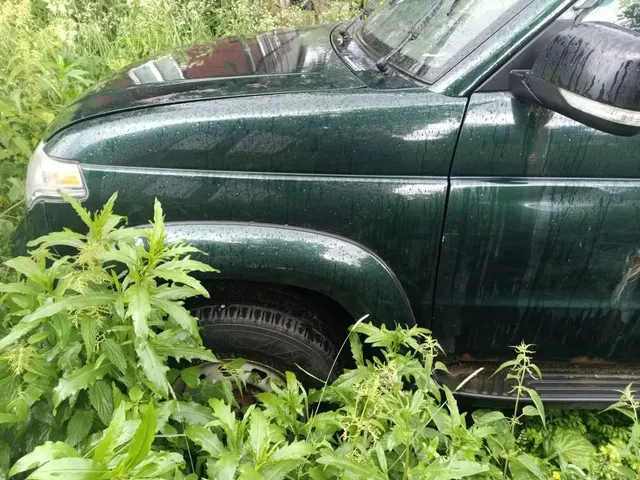 Грузовой автомобиль марки: UAZ, модель: PICKUP, год выпуска: 2018 г., идентификационный номер (VIN): XTT236320J1015767