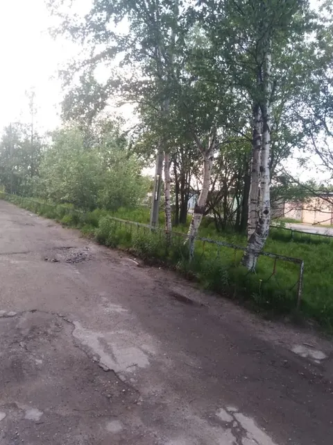 Квартира, общая площадь 51.7 кв.м., расположенная по адресу: 184530, Мурманская обл, г. Оленегорск, ул Парковая, д. 7, кв. 61, кадастровый номер 51:12:0020303:482. В залоге у ПАО «Совкомбанк».