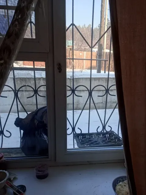 1/2 доли квартиры, общая площадь 31,5 кв.м., этаж 1, расположенной по адресу: Россия, Забайкальский край, г. Чита, ул. Каларская, д. 2б, кв. 3, кадастровый номер 75:32:020319:72