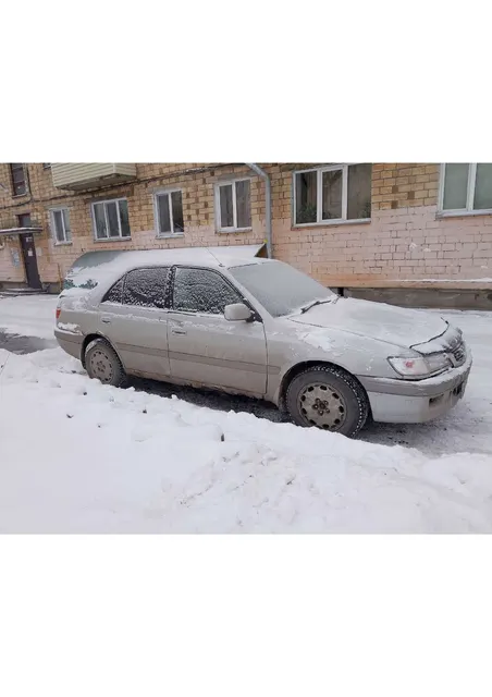 Легковой автомобиль, марка: ТОУОТА , модель: СОRОNА РRЕМIО, год изготовления: 1996 г.в., цвет: серый, г/н: С901КУ124, мощность двигателя, л. с. (кВт): 115 (84,5), рабочий объем двигателя, куб. см: 1762, кузов №: AT211-0040527, разрешенная максимальная масса: 1540, масса без нагрузки: 1230, вид собственности: совместная.