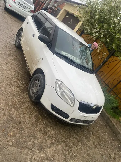 SKODA, модели: Fabia, год выпуска: 2009, идентификационный номер (VIN): XW8AA15J79K507332 находящийся в залоге у ПАО "Совкомбанк"