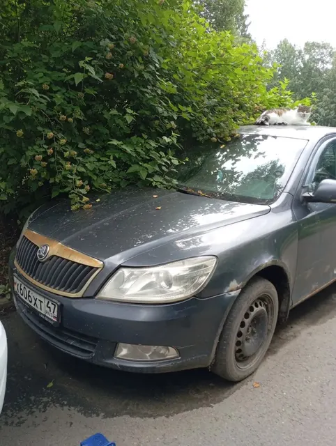 Автомобиль марки SKODA модель Octavia 2012 г.в. VIN-номер XW8BK21Z8DK230217