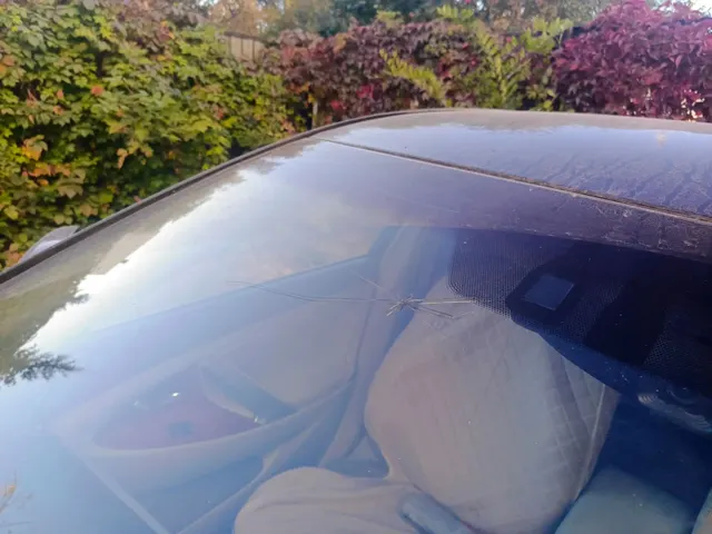 Легковой автомобиль марки: TOYOTA, модель: Camry, год выпуска: 2008 г., идентификационный номер (VIN): JTNBE40K403165479