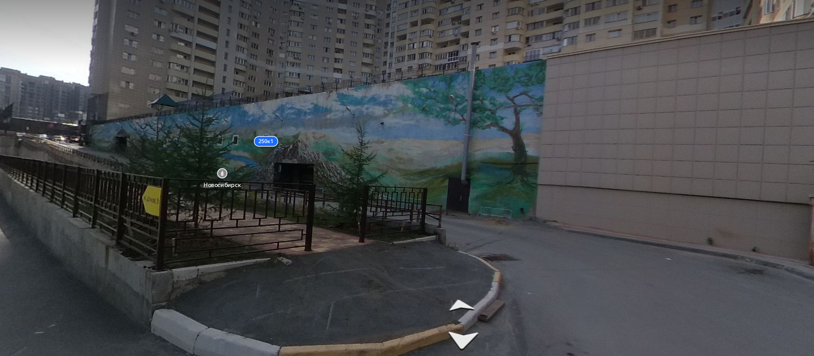 Лот 46. Доля 1/195 в праве общей долевой собственности на нежилое помещение, к/н: 54:35:032705:50, общей площадью 5588,4 кв.м. Местонахождение: Новосибирская обл., г. Новосибирск, ул. Дуси Ковальчук, д. 250/1, машино-место № 72 на этаже +0,000 (залог)