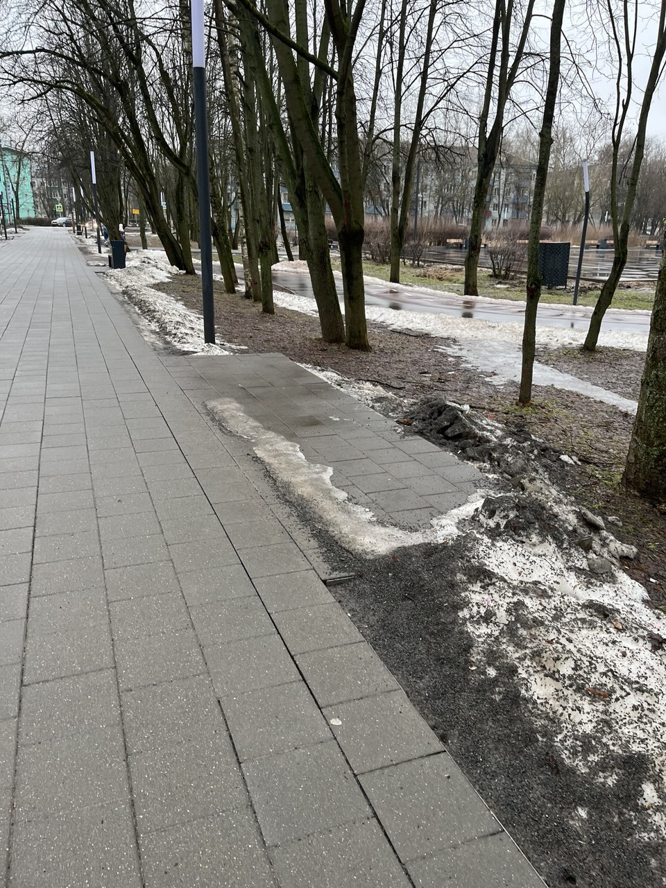 Право на размещение объекта бизнеса на территории парка городского округа Лобня Московской области