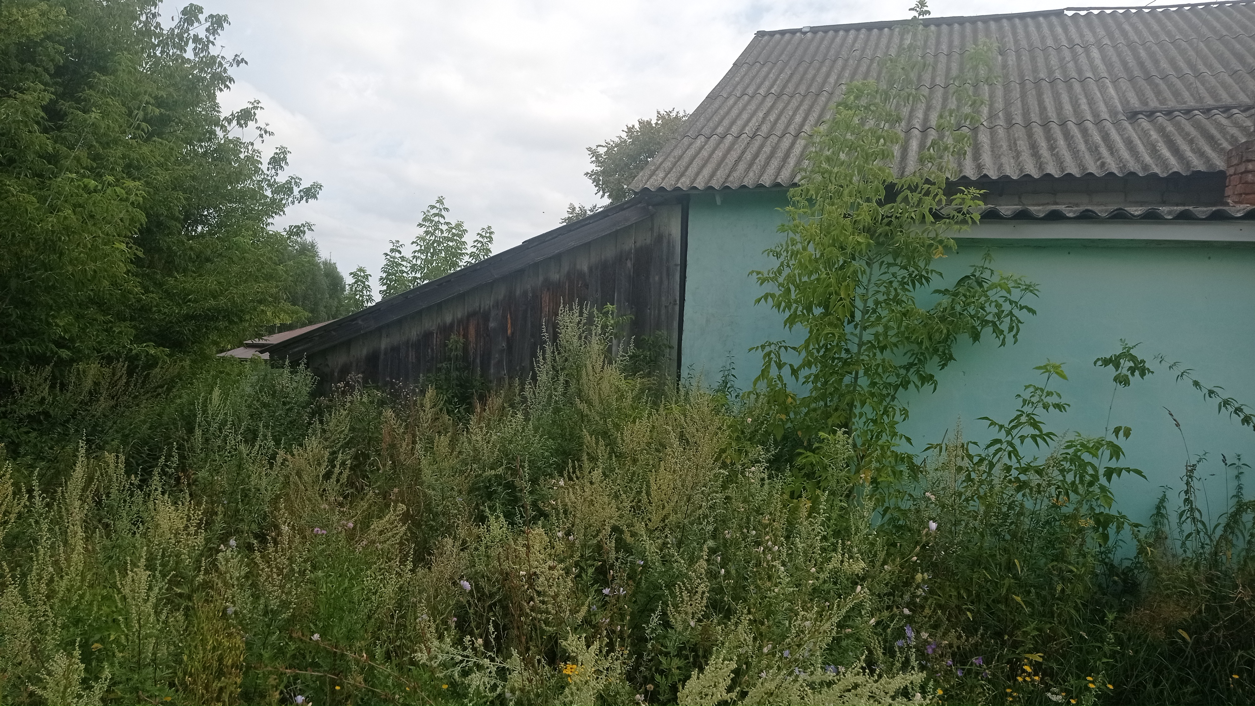 Нежилое здание с прилегающим земельным участком
