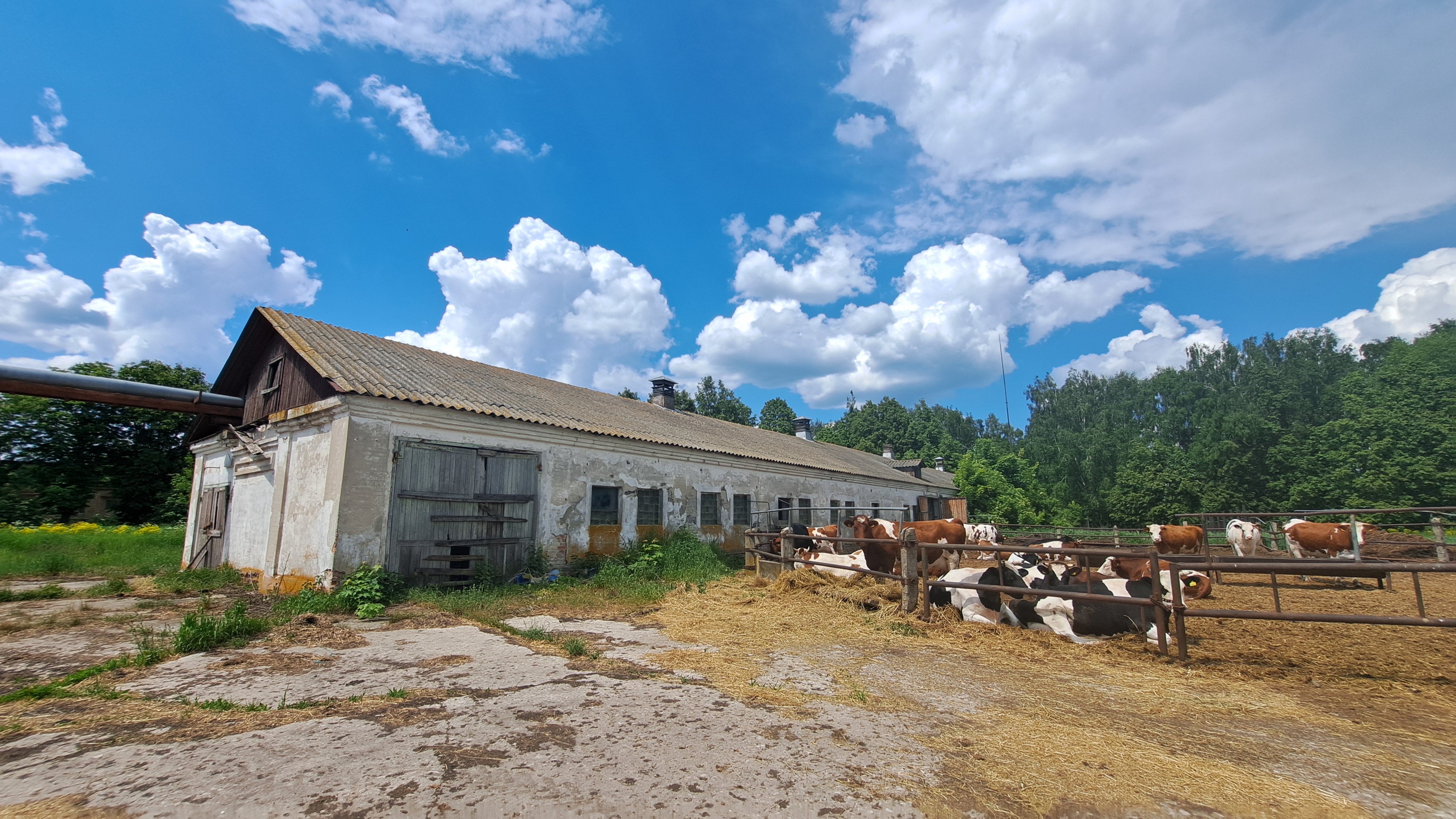 Помещение для хранения и переработки сельскохозяйственной продукции, id 319