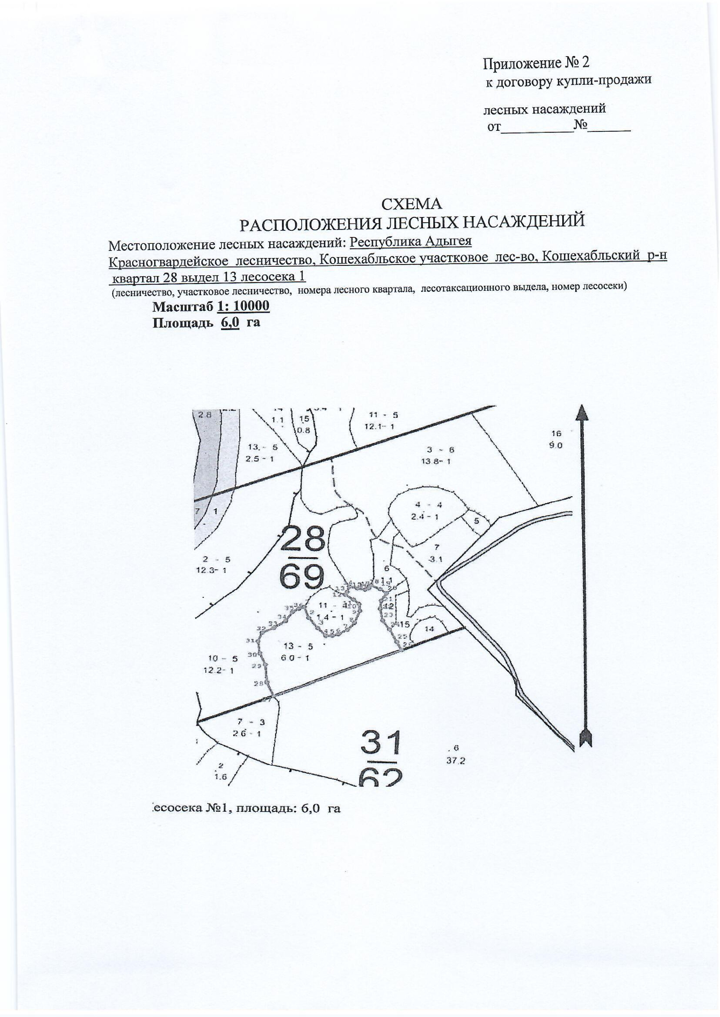 Лесные насаждения