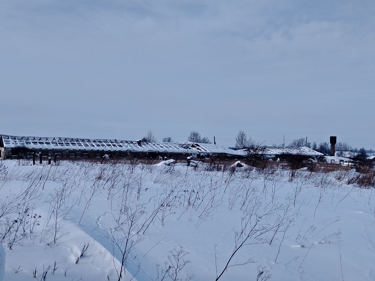Здание, Телятник, назначение: нежилое, площадь 1188,7 кв.м., этажей 1, год постройки 1974, кадастровый номер: 59:14:1681001:3182, расположенное по адресу: Пермский край, Березовский район, д. Марково