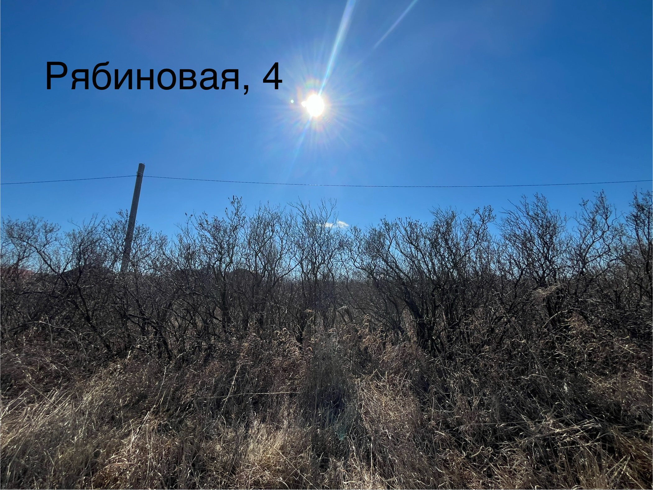 Месторасположение земельного участка: Российская Федерация, Челябинская область, город Троицк, ул. Рябиновая, 4. Разрешенное использование – для индивидуального жилищного строительства. Площадь – 1000 кв.м. Категория земель – земли населенных пунктов. Кадастровый номер – 74:35:1900002:111.
