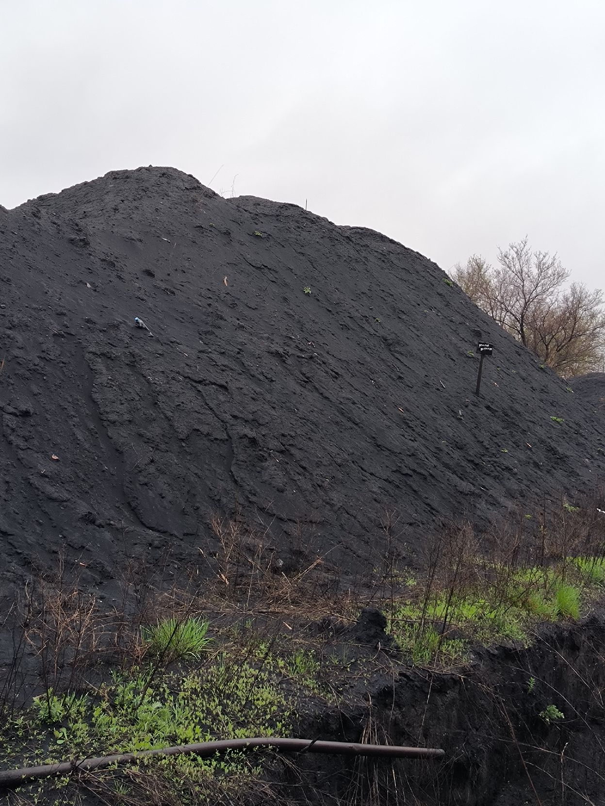 Должник ООО «УГЛЕКОМ». Уголь КР (коксовый рядовой), 2500,24 тонн