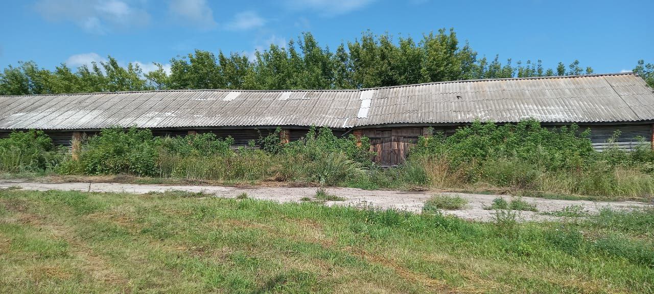 Муниципальное имущество Аликовского муниципального округа Чувашской Республики, расположенное по адресу: Чувашская Республика-Чувашия, Аликовский р-н, с/пос Яндобинское и являющееся казной Аликовского муниципального округа Чувашской Республики, в т.ч.: 1.1 земельный участок с кадастровым номером 21:07:261401:598, общей площадью 5087 кв. м.,1.2. Объекты недвижимого имущества: - нежилое здание, склад деревянный для хранения зерна, с кадастровым номером - 21:07:261401:606, площадью 331.5 кв. м.