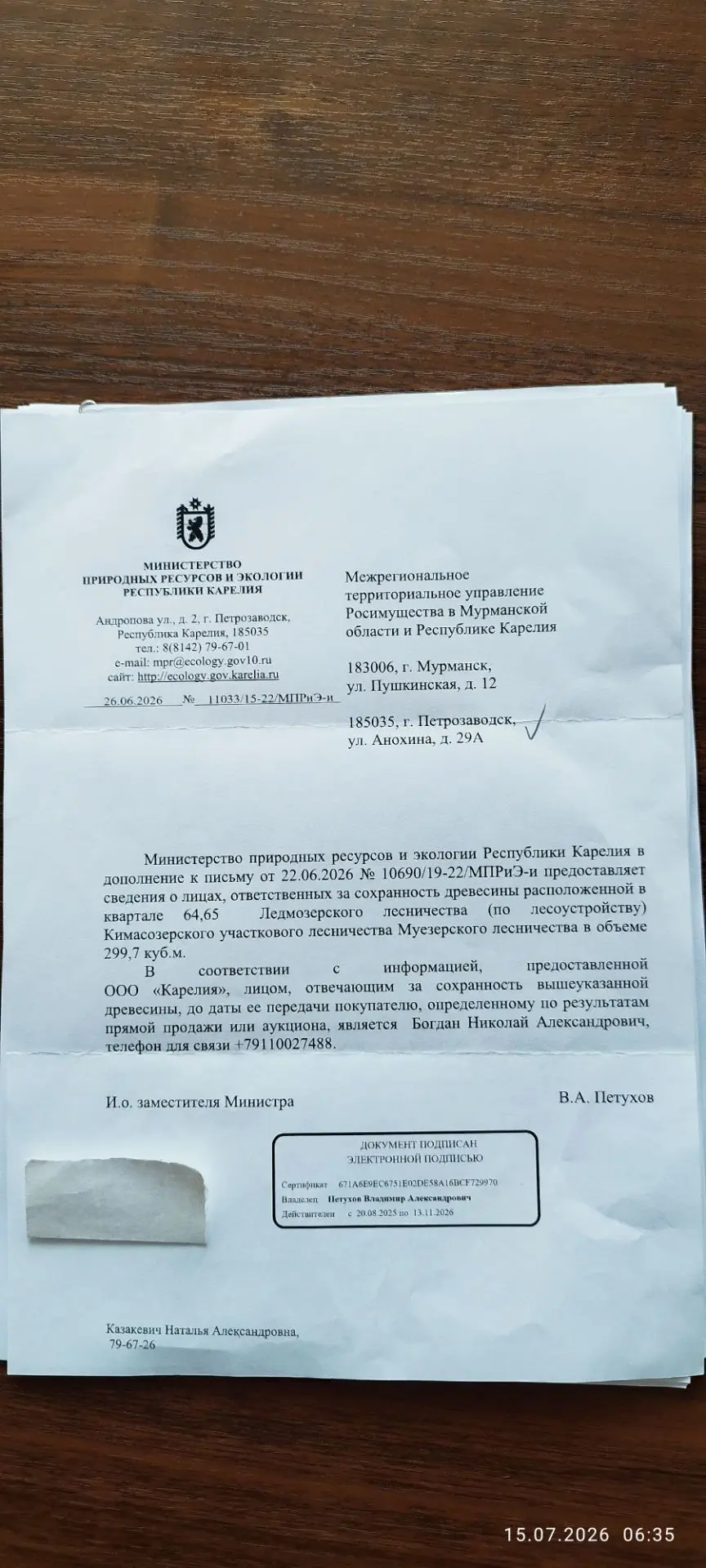 299,7 куб. м. - Муезерское лесничество
