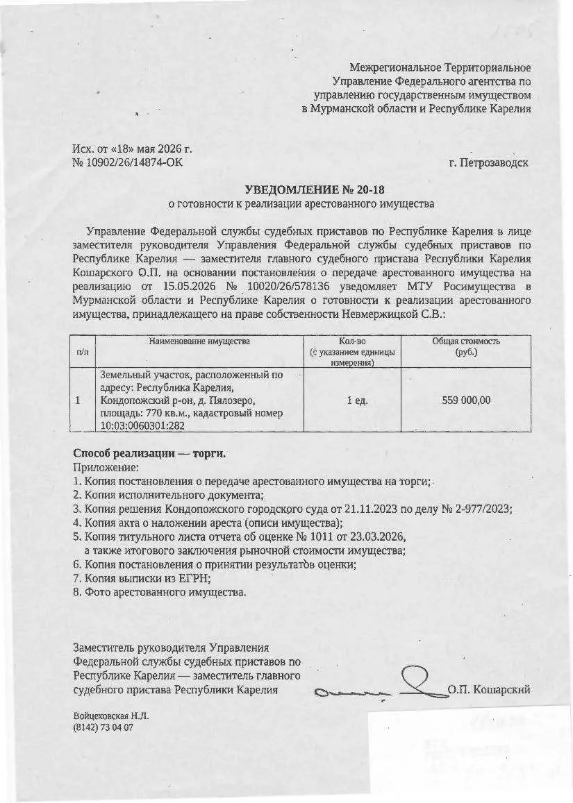 Земельный участок с КН 10:03:0060301:282