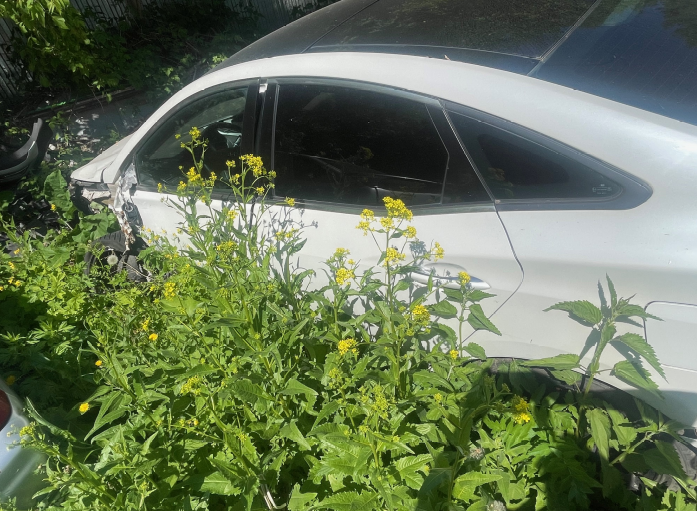 Hyundai Grandeur г/н К065УС702, vin KMHFH41HBCA182812