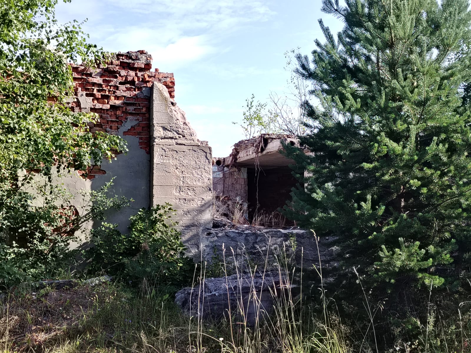 нежилое здание с земельным участком