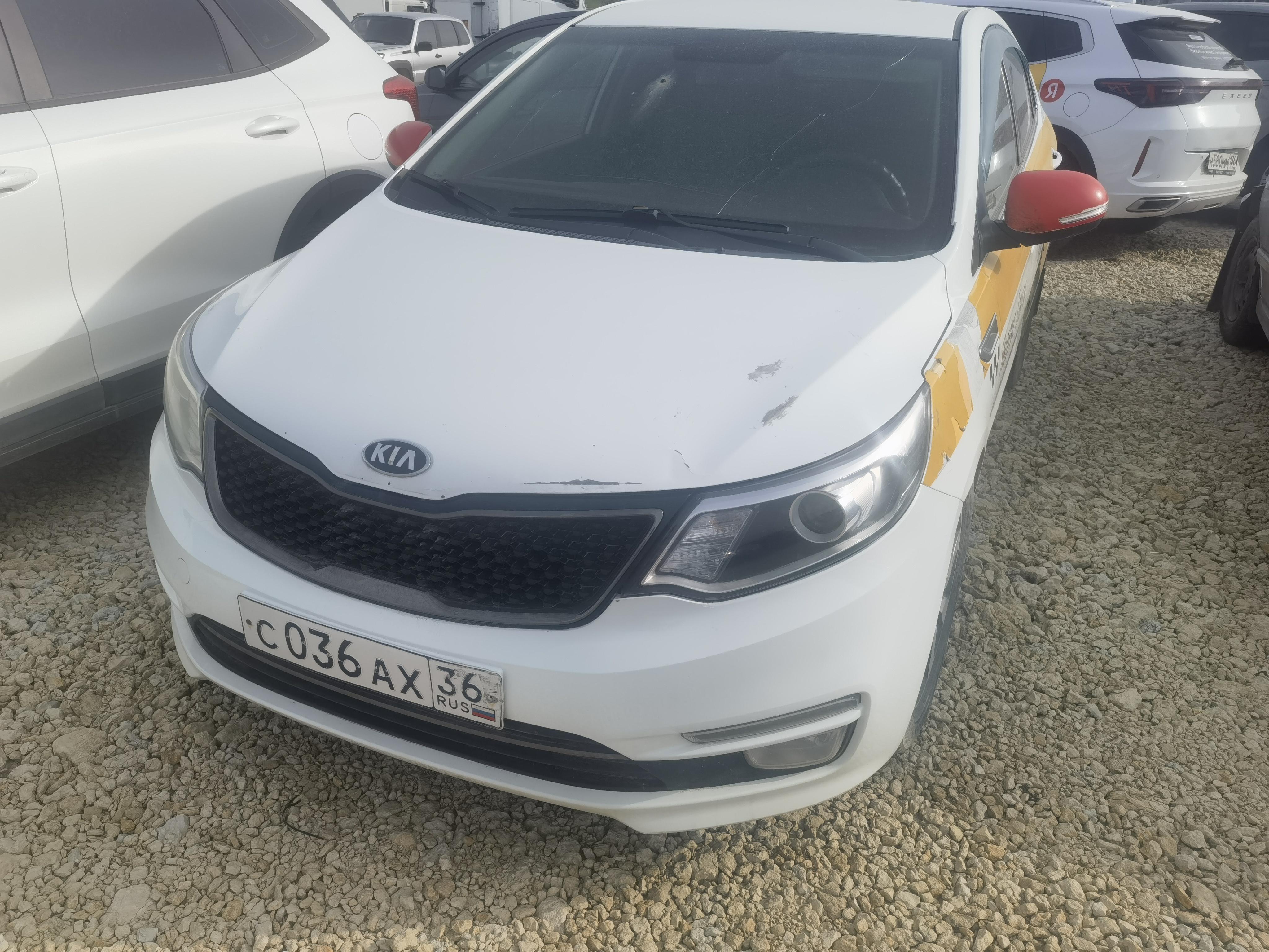 KIA RIO