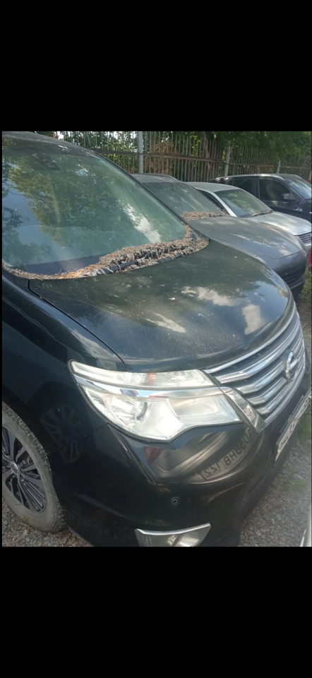 Легковой автомобиль NISSAN SERENA HIBRID, 2015 г.в., г/н: М358РУ154, VIN: HFC26-294570, цвет-черный. Наложено обременение на основании определения Заельцовского р-го суда г. Новосибирска от 30.01.2024 (залог, повтор)