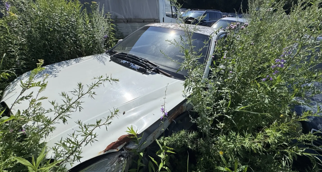 Автомобиль марки "HYUNDAI SONATA" с государственным регистрационным знаком М259ЕР 21 RUS, белого цвета, 2004 г.в., VIN X7MEN41ВР4М001598, (21-008494) На транспортные средства наложены ограничения (арест и залог, информация размещена на официальных сайтах https://гибдд.рф, https://www.reestr-zalogov.ru/search).