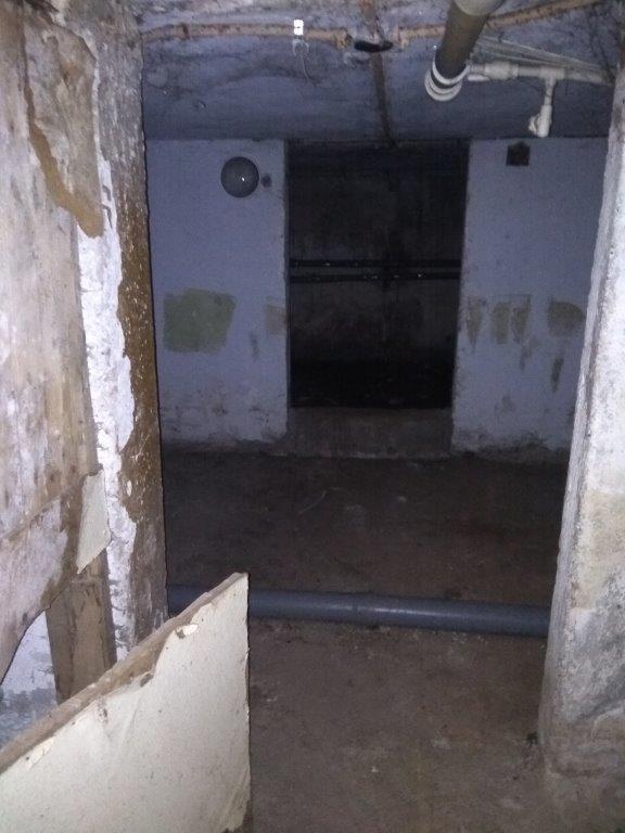 Встроенные нежилые помещения площадью 225,3 кв. м (кадастровый номер 59:01:4311011:754), в подвале многоквартирного дома. Адрес: Пермский край, г. Пермь, Мотовилихинский район, ул. Степана Разина, д. 34/3. Помещения пустуют.