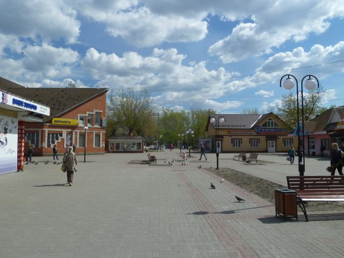 Право заключения договора на организацию ярмарок на месте проведения ярмарок по адресу: г.о. Электрогорск, пл. Советская