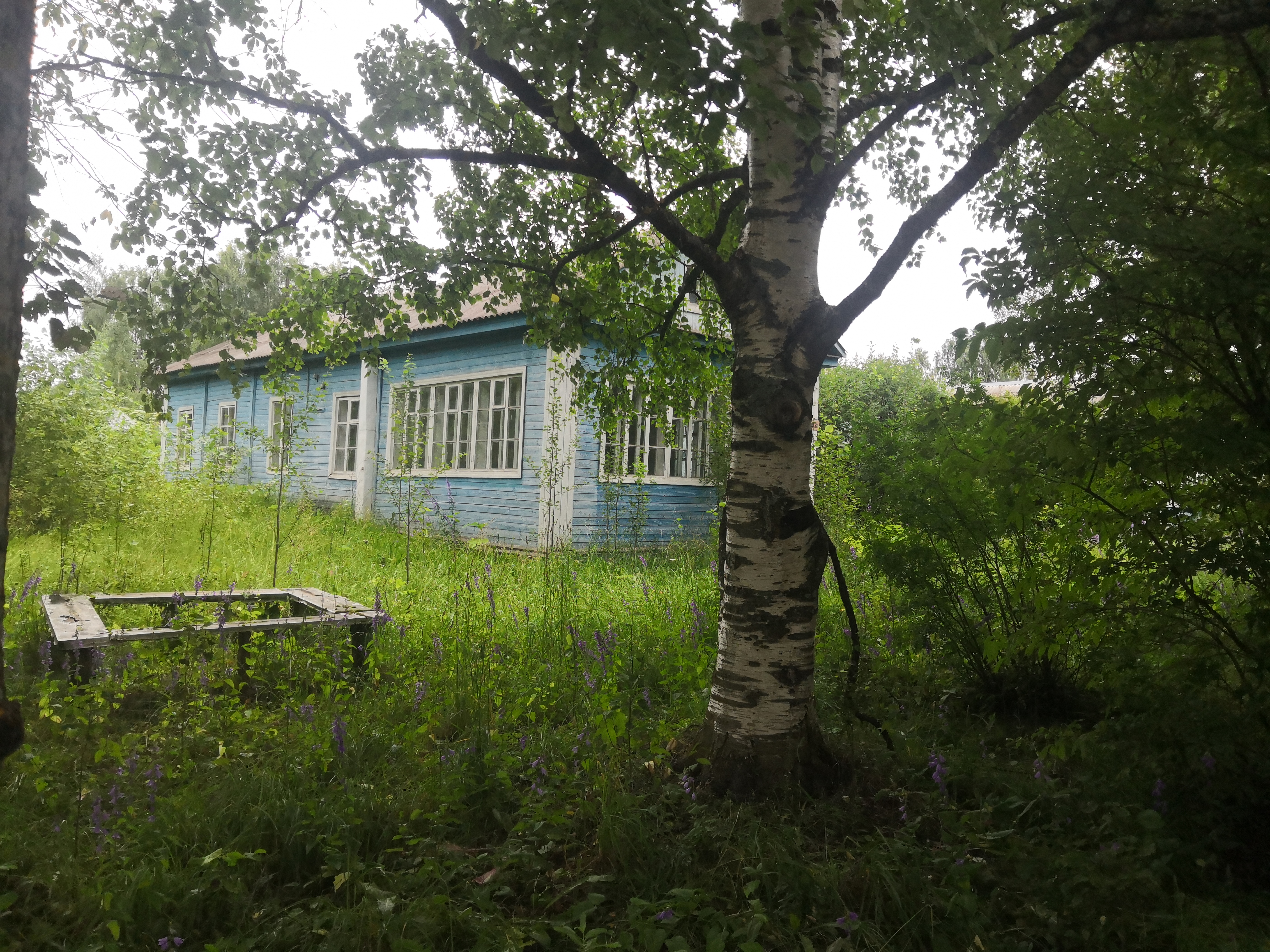 Нежилое здание (бывшее здание центра детского творчества), площадью 318,5 кв.м., 1961 года постройки, кадастровый номер 11:03:2001003:767
