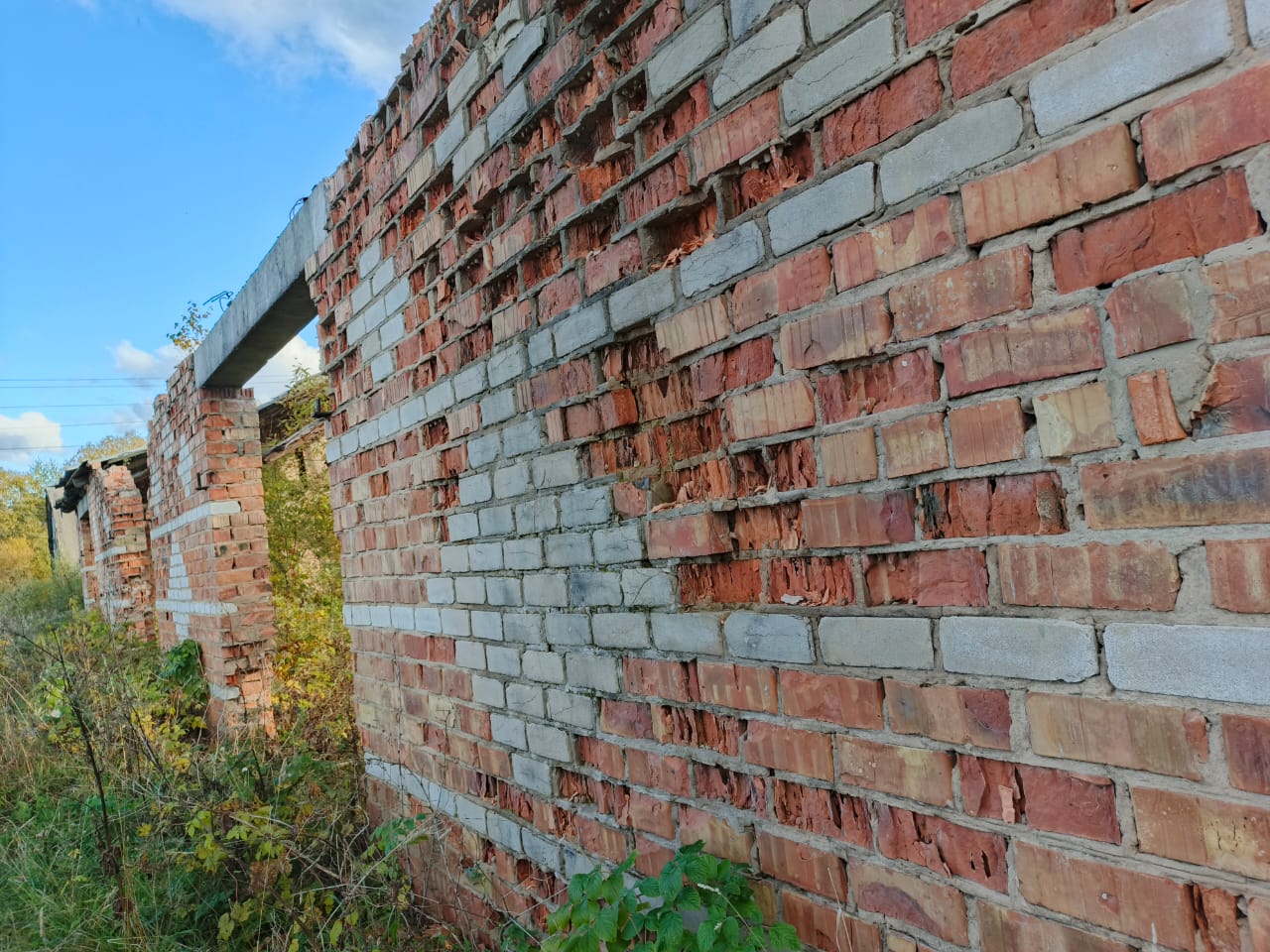 нежилое здание с КН 60:04:0131201:452, общей площадью 353 кв. м, расположенное по адресу: Псковская область, Дедовичский район, сельское поселение Шелонская волость. д. Тягуще