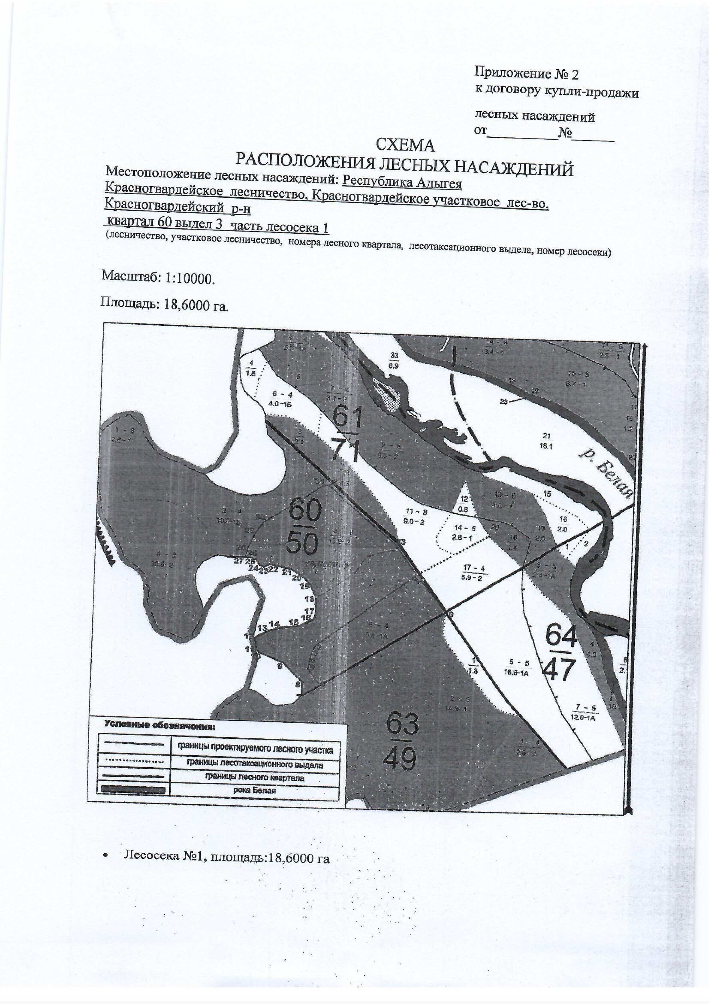 Лесные насаждения