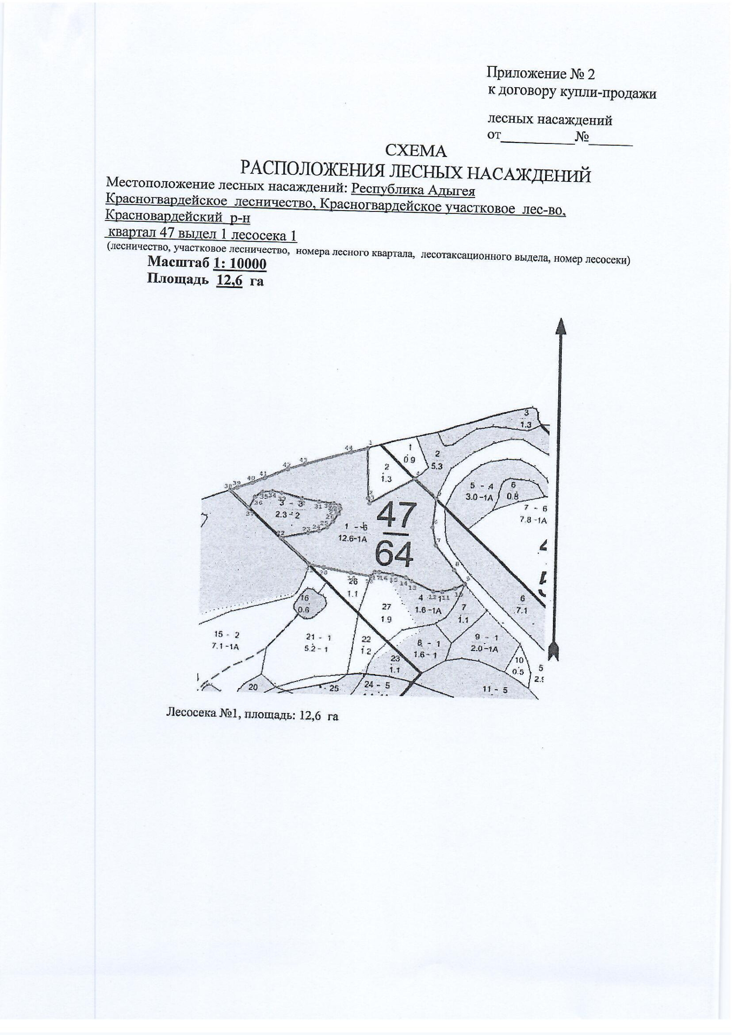 Лесные насаждения
