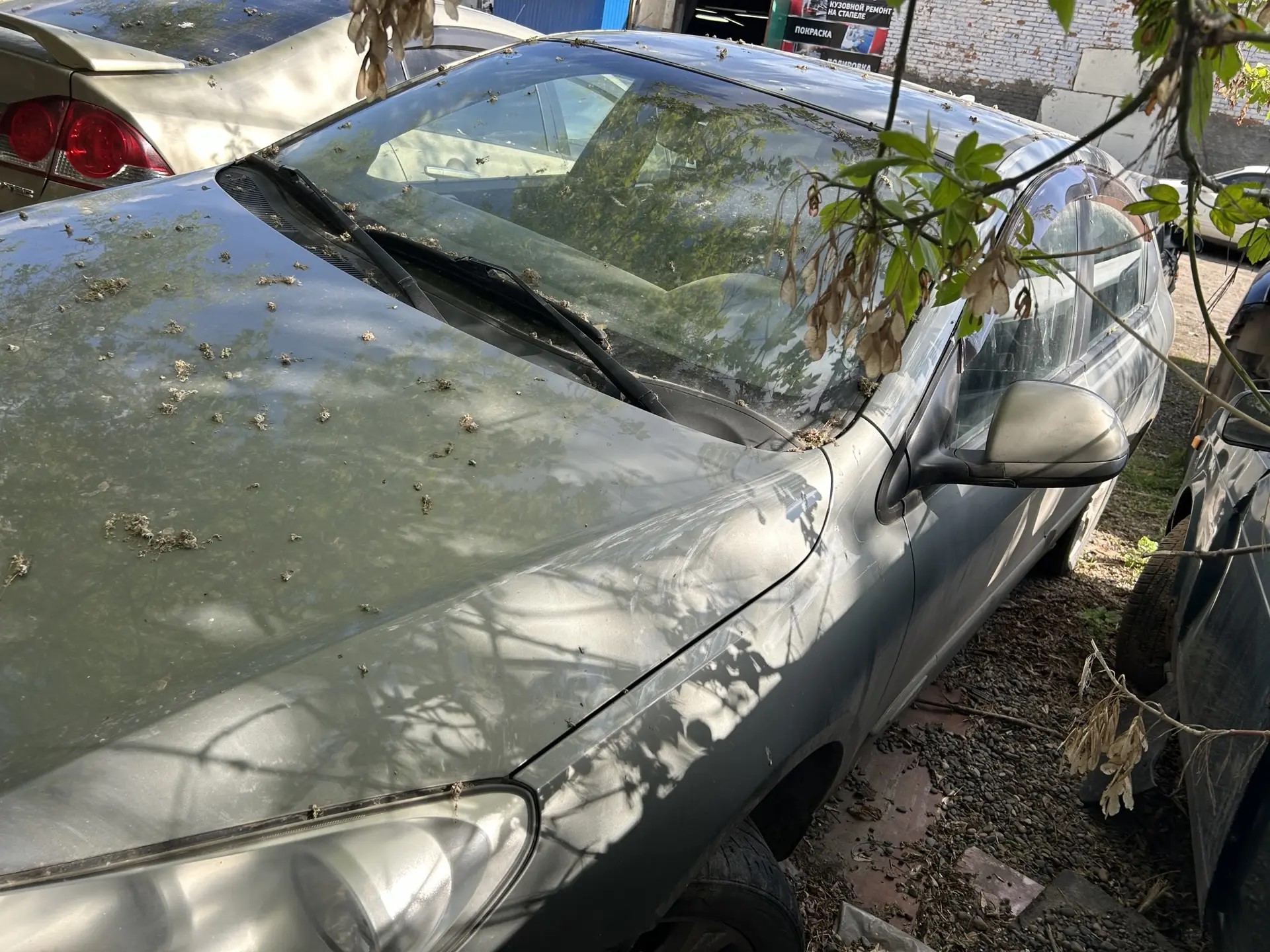 Автомобиль CHERY M11, г/н Р058НЕ124, 2013 г.в., VIN LVVDB21BJDD249291, двигатель № AADJ05089, цвет серый, комплектность и состояние не проверялась, данное имущество обращено в доход государства. Находится в г. Красноярск