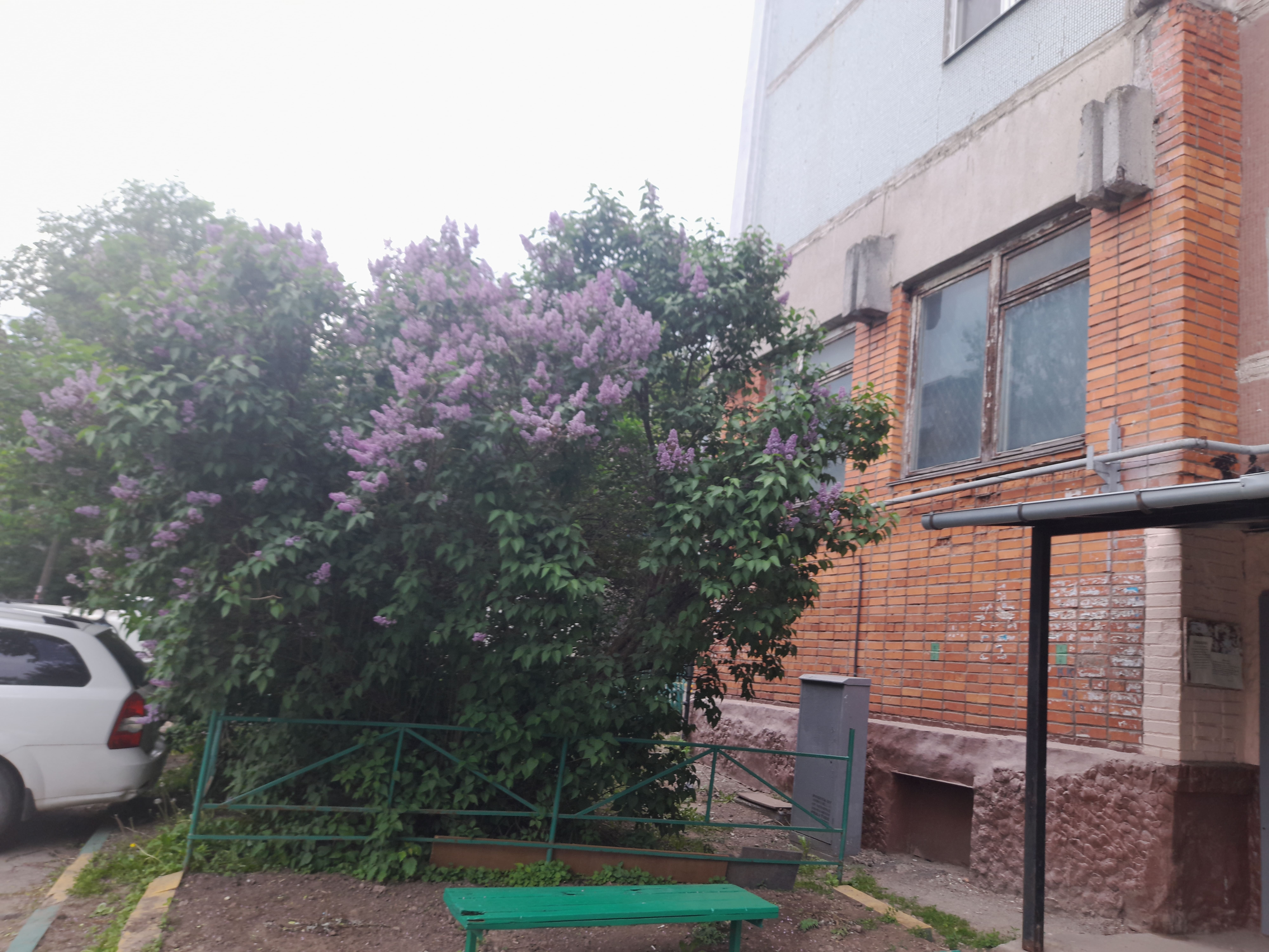 Объект аренды, площадь 112,6 кв. м, номера на поэтажном плане: этаж 1, ком. 21а, 22, 29, 29а, 30, часть 20, адрес (местонахождение) объекта: Тульская область, г. Тула, ул. Октябрьская, д 97, 1-2,2а,2б,3,4,4а,5-10,10а,11-26 этаж 1;27-29,29а,30-34,34а,35-37 цокольн. этаж