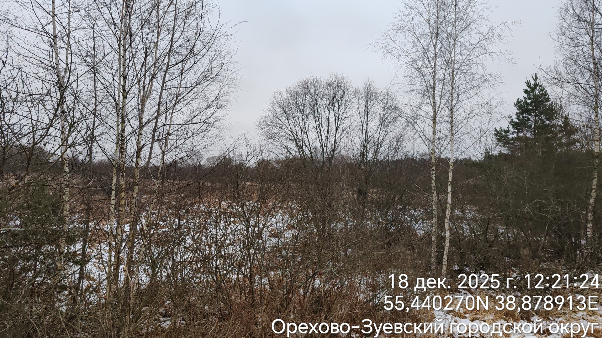 Аукцион в отношении земельного участка с КН 50:24:0080314:356