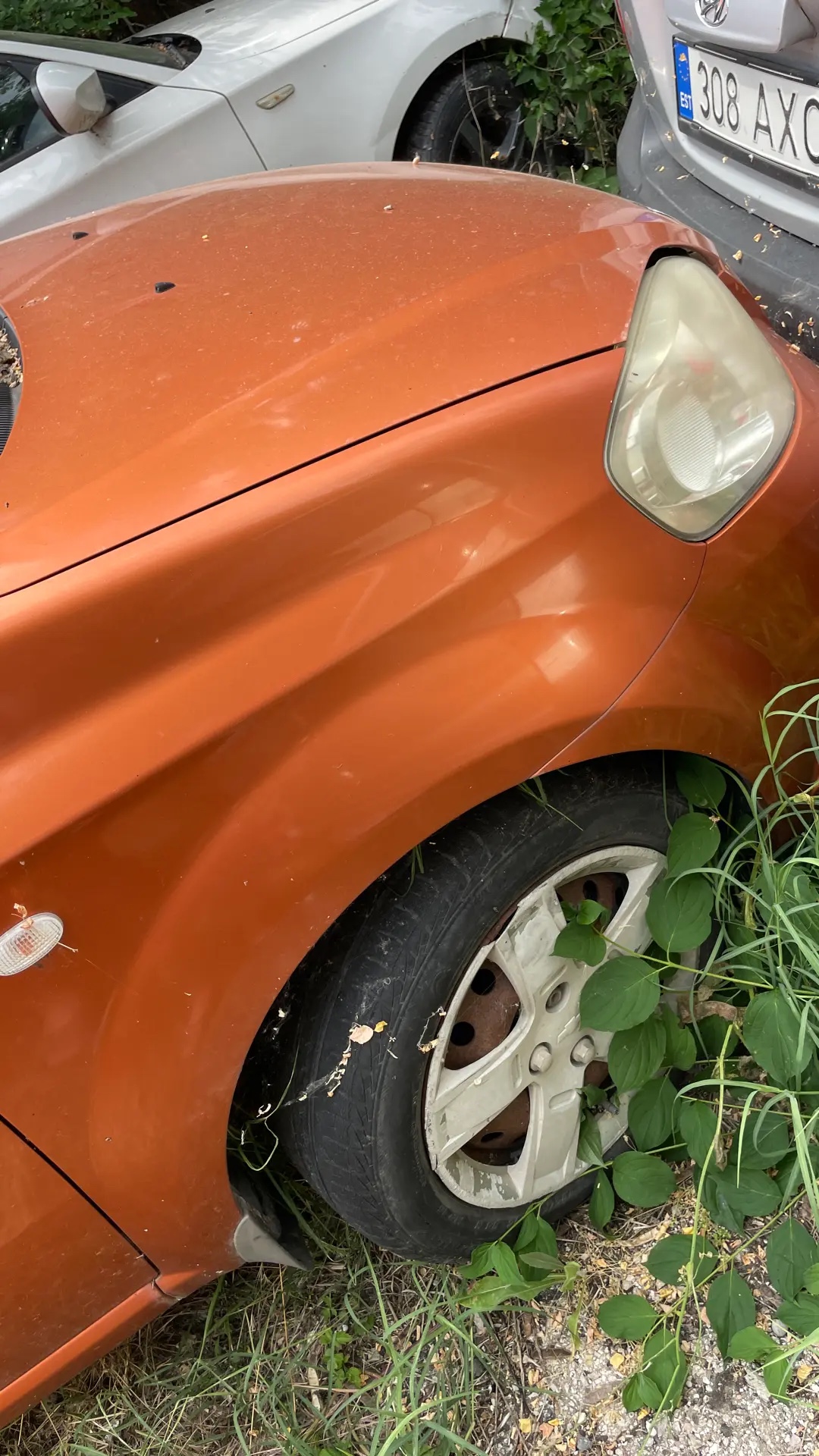 Автомобиль CHEVROLET AVEO, 2006 года выпуска, г/н А520КВ92, VIN: KL1SF69YE7B086362.