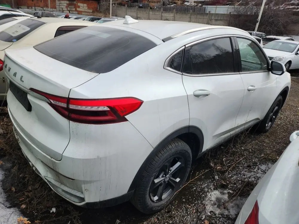 Автотранспортное средство Haval F7x, 2022 года выпуска, идентификационный номер (VIN) XZGEF04A8NA617141.