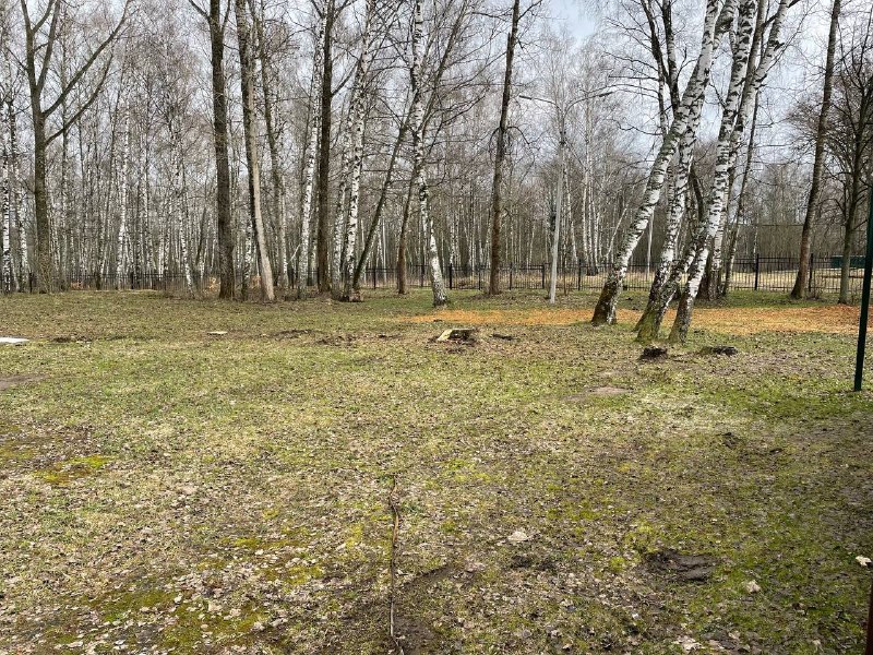 Право на размещение объекта бизнеса на территории городского парка муниципального образования «Городской округ Кашира Московской области»