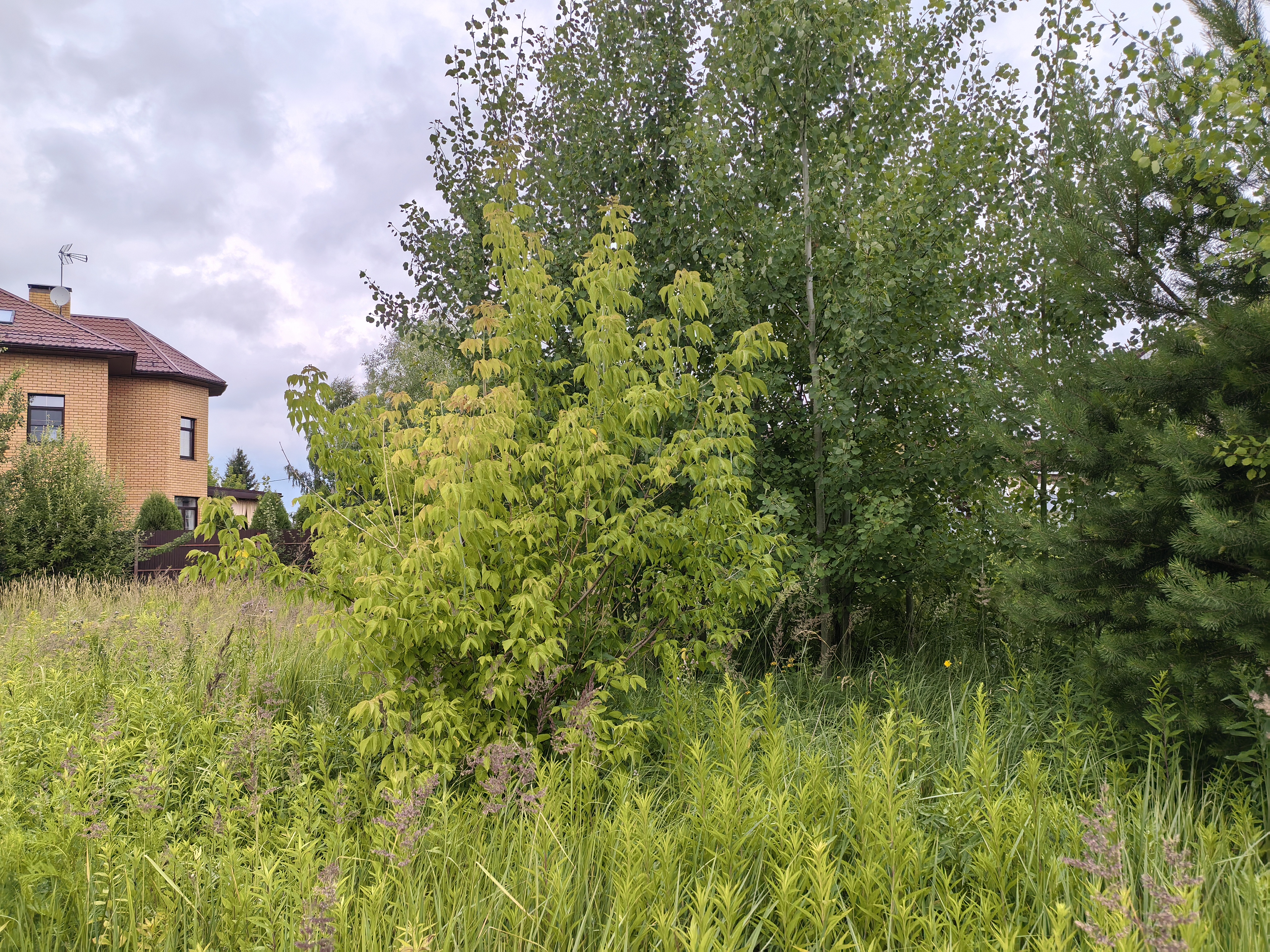 Продажа земельного участка с адресным ориентиром: город Москва, вн.тер.г. муниципальный округ Филимонковский, деревня Бараново, улица Новая, земельный участок 53А общей площадью 1350 кв.м, кадастровый номер: 77:18:0180512:582