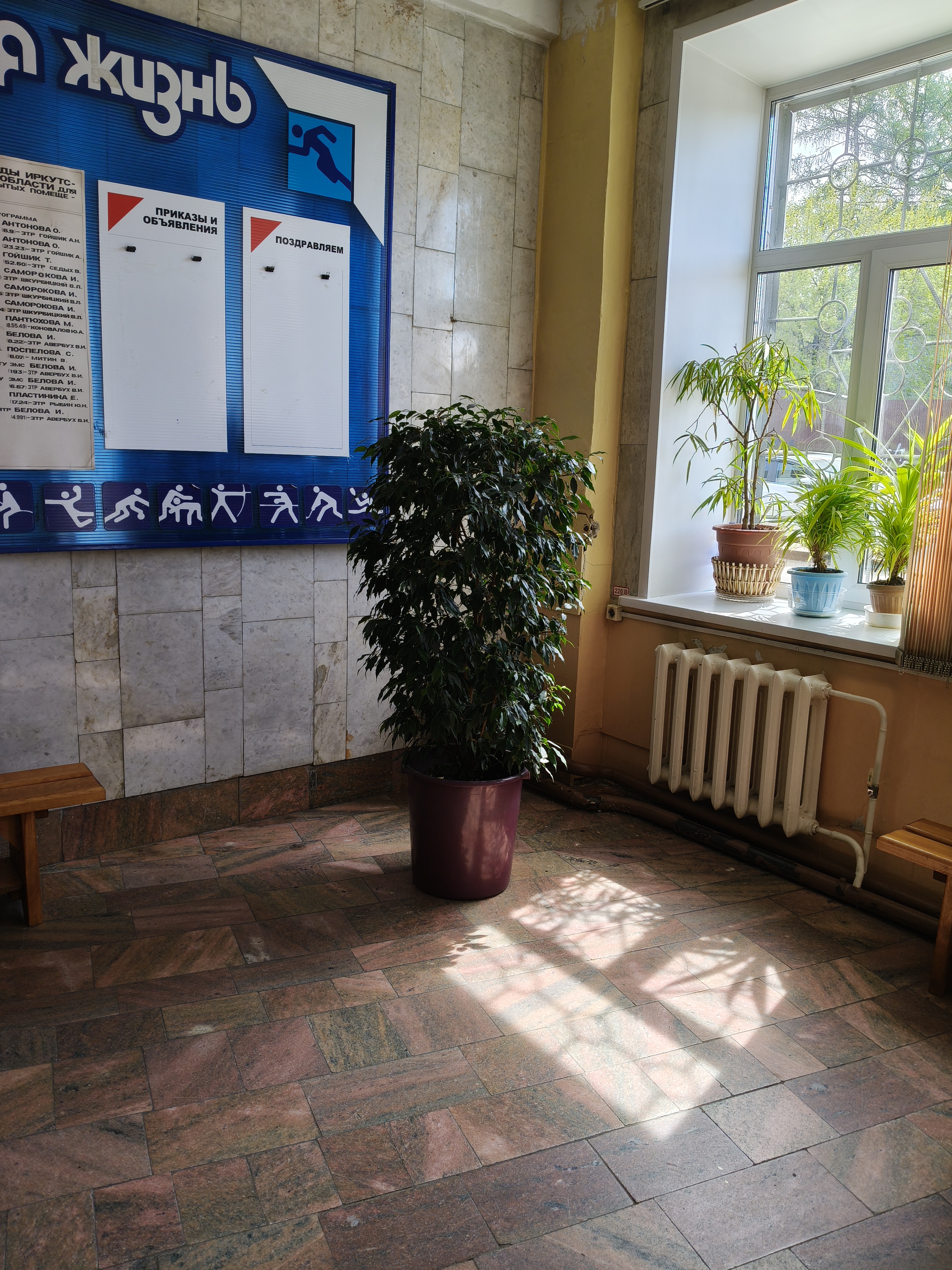 Часть нежилого помещения, находящегося в объекте государственной собственности Иркутской области – на первом этаже здания Восточной трибуны Центрального стадиона Труд, расположенного по адресу: Иркутская область, г. Иркутск, ул. Карла Маркса, д. 12, кадастровый номер 38:38:000034:18946 (реестровый номер П120004593), позиция № 47 на поэтажном плане, согласно техническому паспорту ОГУП «ОЦТИ - Областное БТИ» от 14 августа 2019 года, общая площадь 3 кв. м