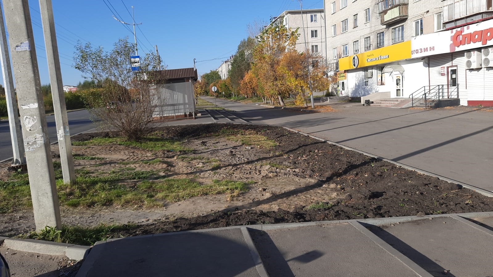 Елочный базар по адресу: г. Курган, ул. Чернореченская, в районе здания № 101