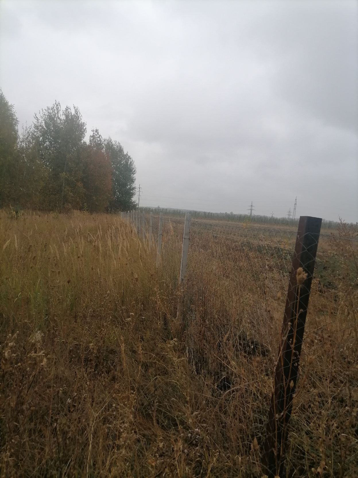 Земельный участок, площадь 71000 кв.м.