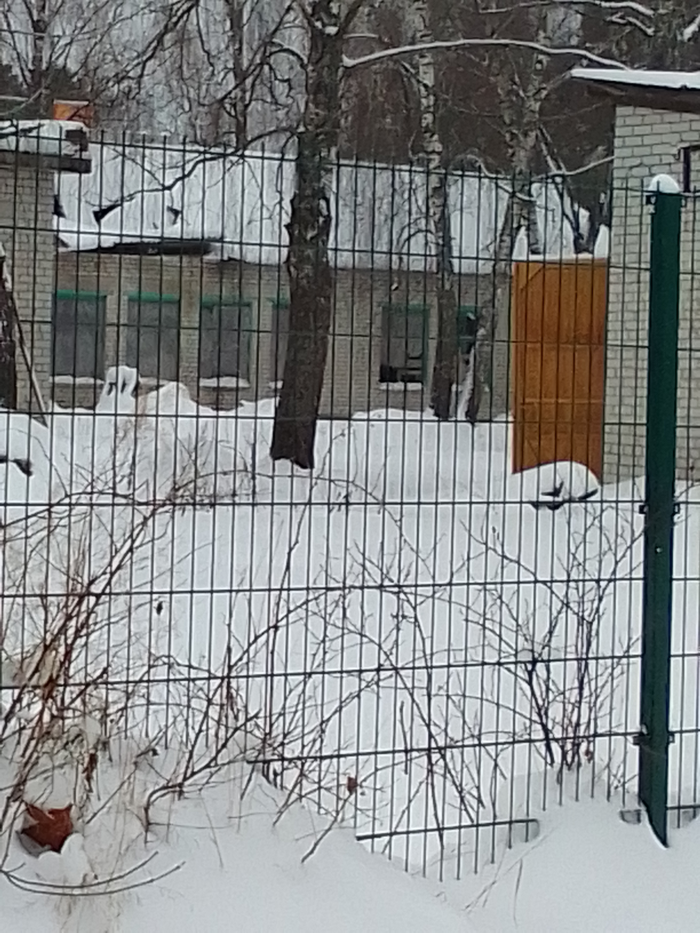 здание нежилое под демонтаж